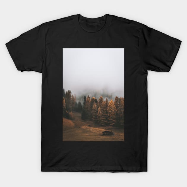 Autumn Forest Cabin Pathway Along The Pine Trees Landscape Photography T-Shirt by mikels